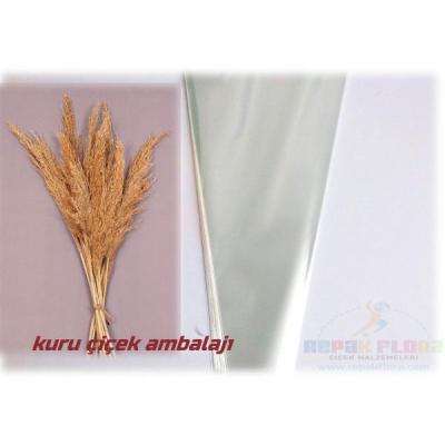 KURU ÇİÇEK 